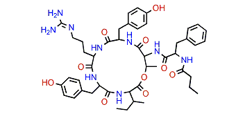 Kahalalide C